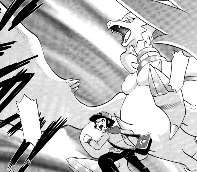 File:Black awakens Reshiram Adventures.png