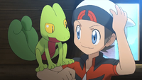 Brendan Treecko ORAS Trailer.png