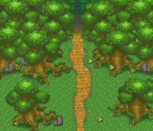 Treeshroud Forest entrance TDS.png