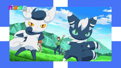 PokéTV XY097.png