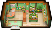 Pretty Petal Flower Shop interior ORAS.png