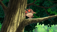 Professor Oak Laboratory Hoothoot.png