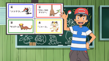 Poké Problem question SM009.png