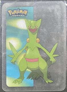 Pokémon Advanced Vertical Lamincards 12.jpg