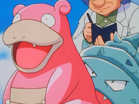 Professor Westwood's Slowbro