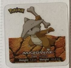 Pokémon Square Lamincards - 105.jpg