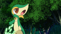 Rosa's Snivy