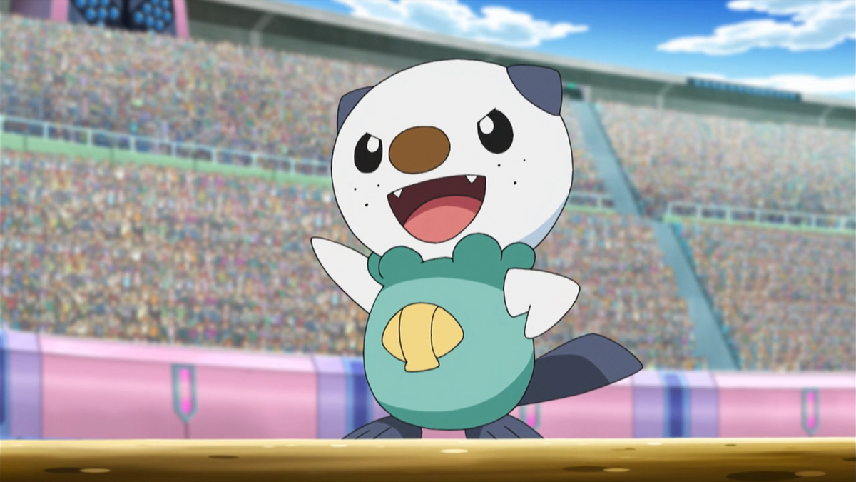 Oshawott anime