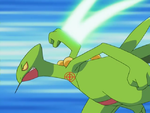 Ash Sceptile Lock-On effect.png