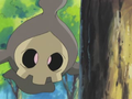 Duskull - Camp Pikachu