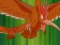 Fearow (×2)