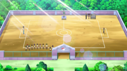 pokemon gym battle field