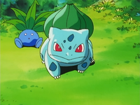 Ash's Bulbasaur