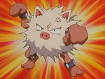 Hisashi Primeape.png