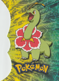 Topps Johto 1 D3.png