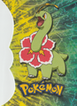 Topps Johto 1 D3.png