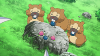 Bidoof anime.png