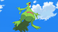 Ash's Sceptile