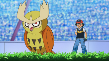 Ash and Noctowl.png