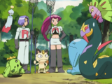 Jessie and James's Pokémon from Pokémon the Series: Ruby and Sapphire (excluding Mime Jr.)