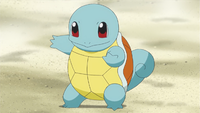 Tierno's Squirtle