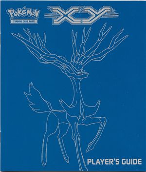 XY Player Guide.jpg