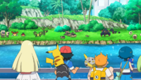 Aether Paradise Ledyba Vibrava Sandile Boldore Rufflet.png