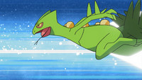 Ash Sceptile Quick Attack.png