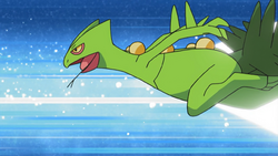 Ash Sceptile Quick Attack.png