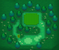Mirage Forest east of Mossdeep City ORAS.png