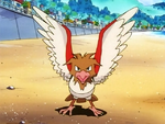Punk Spearow.png