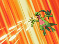 Ash Grovyle Bullet Seed.png