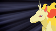 Hoopa Rapidash.png