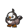 Starly