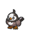 Starly (Pokémon)