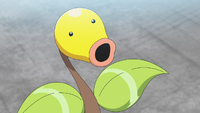 Goh's Bellsprout