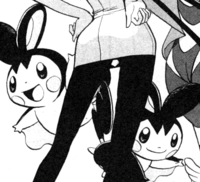 pokemon black and white emolga evolution