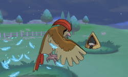Feather Dance VI.png
