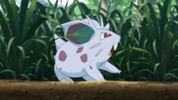 Youngster's Nidoran♀