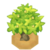 AguavTreeBuddingVI XY.png