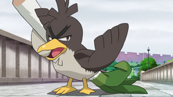 Holly's Farfetch'd, Pokémon Wiki