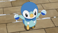 Misaki's Piplup