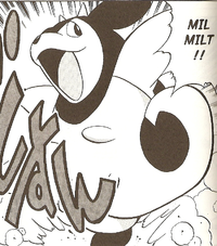 Whitney's Miltank