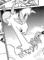 Chic Combusken Peck.png