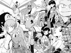 pokemon gym leaders