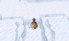 XY Riding Mamoswine.png