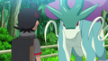 Goh and Suicune.png