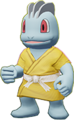 Machop Adept Style