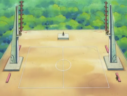 Fortree Gym Battlefield.png