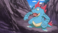 Natusya's Feraligatr